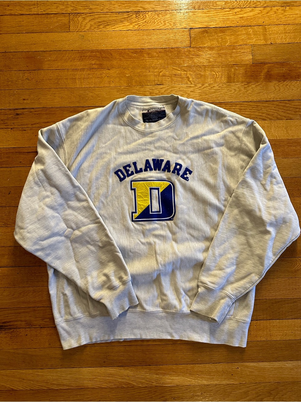 Vintage Y2K Champion Reverse Weave Delaware Blue Hens Sweatshirt Size Large